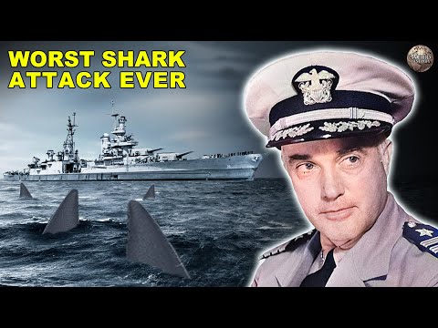 The Story of the Deadliest Shark Attack in US History