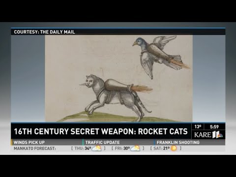 &#039;Rocket Cat&#039; Weaponry Plans Found In 16th-Century War Manual