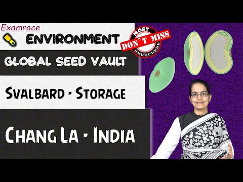 Global Seed Vault | Svalbard | Chang La - Preserving Species | Environment