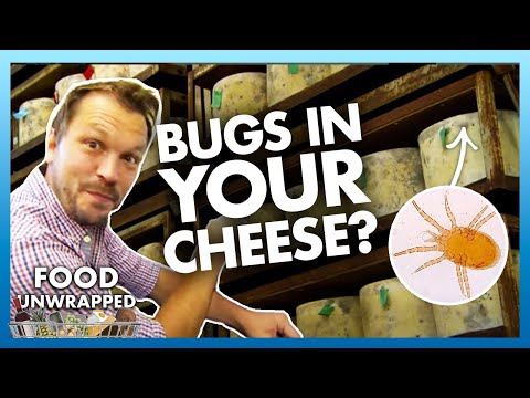There are mites in our cheese? 🪲