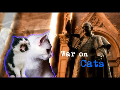 WAR ON CATS - That One Time The Pope Banned Cats And It Caused The Black Plague