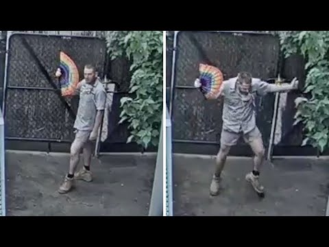 Melbourne zookeeper lifts spirits with cheeky dance on livestream