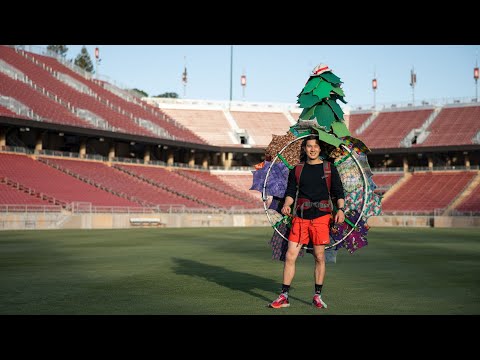 Meet the 43rd Stanford Tree