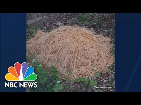 New Jersey neighbors find source of mystery pasta piles