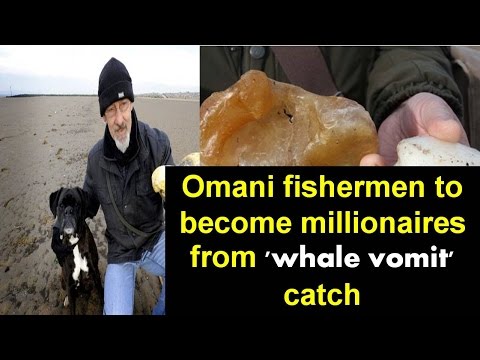 Omani fishermen to become millionaires from &#039;whale vomit&#039; catch