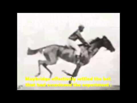 Muybridge&#039;s &quot;Flying Horse&quot;-Eadweard Muybridge-1878.wmv