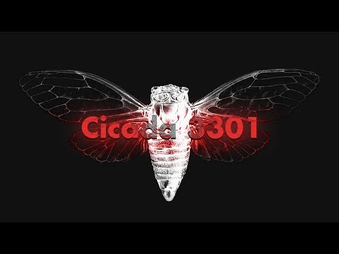 Cicada 3301: An Internet Mystery