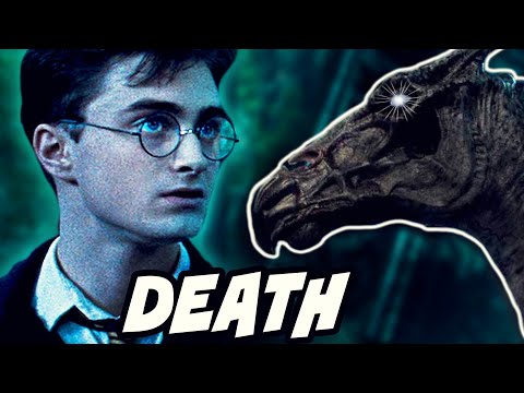 Why Can&#039;t Harry See Thestrals until Order of the Phoenix? - Harry Potter Explained