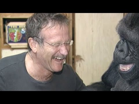 Koko&#039;s Tribute to Robin Williams