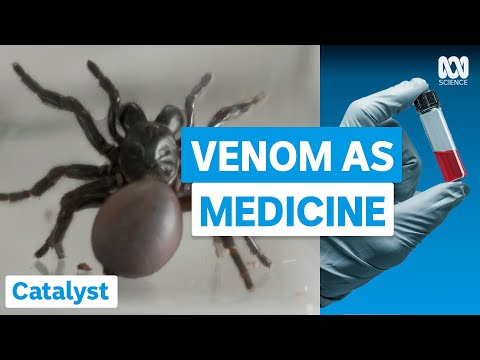 Turning Deadly Venom Into Lifesaving Drugs | Catalyst | ABC Science