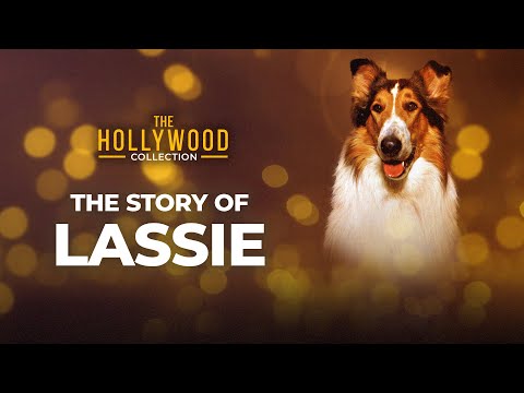 The Story Of Lassie | The Hollywood Collection