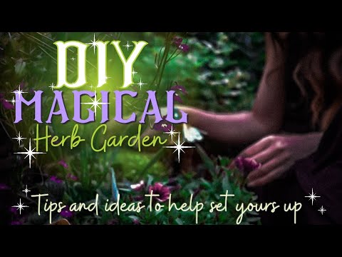 🌱 DIY Magical Herb Garden 🌱 Witchcraft 101 🧙‍♀️ &amp; magical qualities 💚🌱