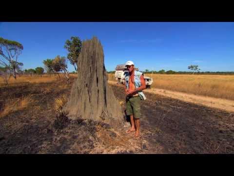 Magnetic Termite Mounds - Nature&#039;s Compass ► All 4 Adventure TV