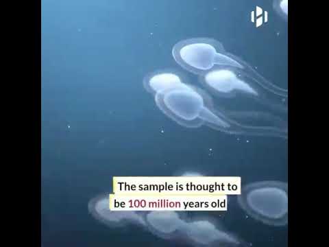 Ten Bizarre Facts About Sperm And Semen - 62