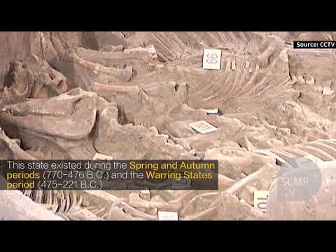 2,400-year-old horses and chariots unearthed in China