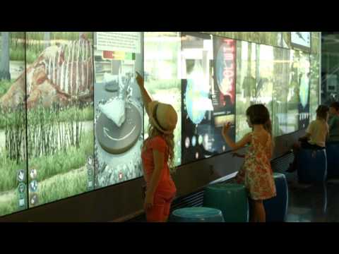 Dino Zoo at QUT