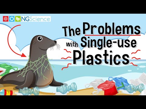 The Problems with Single-use Plastics