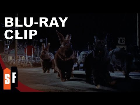 Night Of The Lepus (1972) - Clip: Lepus On The Move