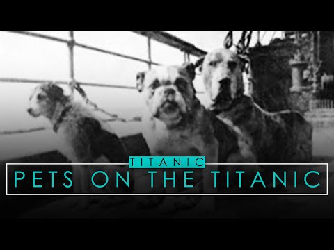 The Animals Aboard The Titanic