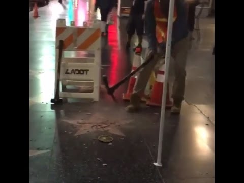 Trump Walk of Fame Star Smashed With Pickaxe