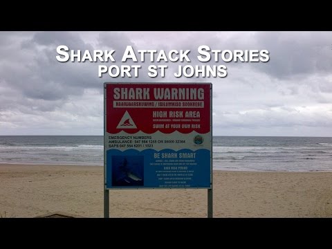 LIFEGUARDS ATTACKED BY SHARKS ON SOUTH AFRICAN BEACH