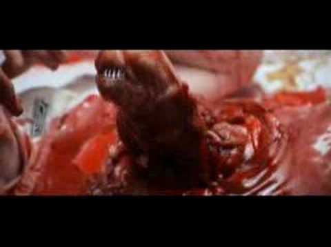 Alien - Extended Chestburster