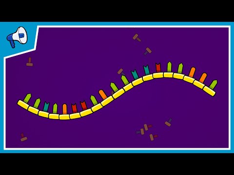 What Is the RNA World Hypothesis?