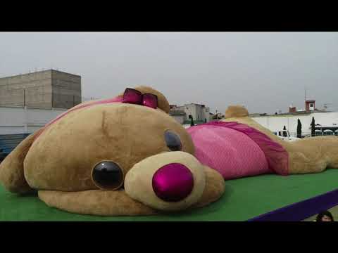 Giant teddy bear breaks Guinness World Records in Mexico