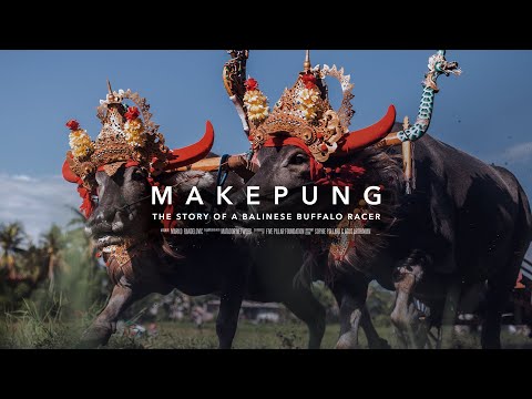 Makepung: The Story of a Balinese Buffalo Racer