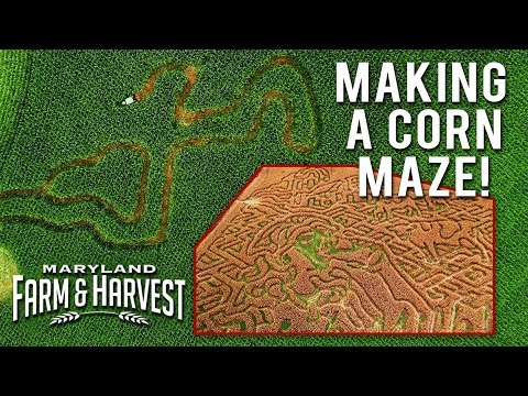 How to Make a Corn Maze! | Maryland Farm &amp; Harvest