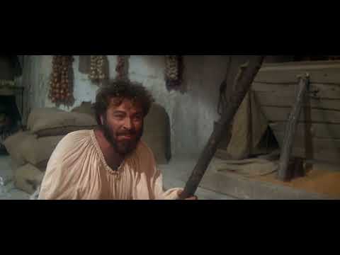 Hilarious Discussion - The Taming of the Shrew (1967) Elizabeth Taylor &amp; Richard Burton