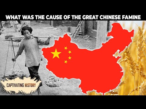 What Was the Cause of the Great Chinese Famine?
