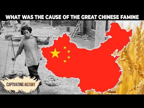 What Was the Cause of the Great Chinese Famine?