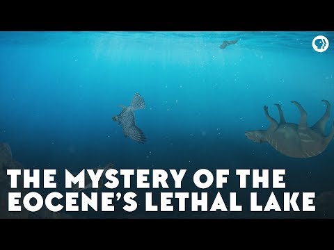The Mystery of the Eocene’s Lethal Lake