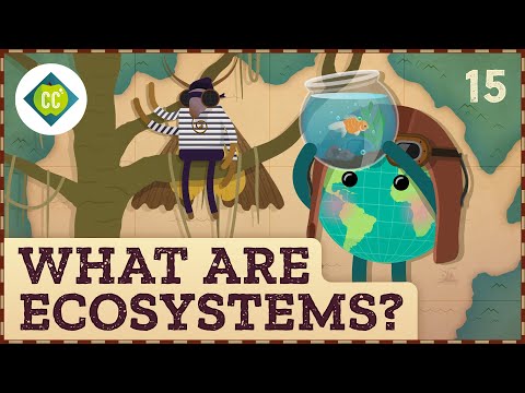 What Are Ecosystems? Crash Course Geography #15