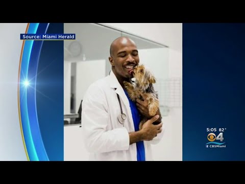 Aventura Veterinarian Accused Of Abusing Animal, Distributing Child Pornography