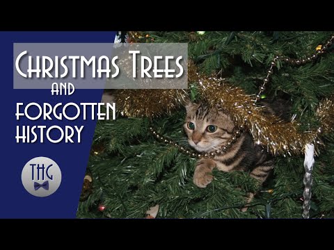 Christmas Trees: A Forgotten History