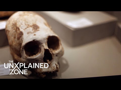 Ancient Aliens: Paracas Skull DNA Test