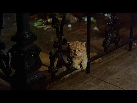 Breakfast At Tiffany&#039;s &quot;Cat&#039;s&quot; Best Bits, Complete. HD