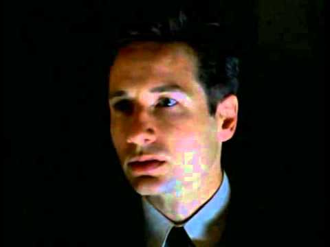 THE X-FILES | 1x24 &quot;The Erlenmeyer Flask&quot; | A Private Conversation With Chris Carter