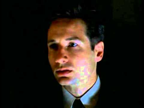 10 Freaky True Stories That Inspired  The X Files  - 44