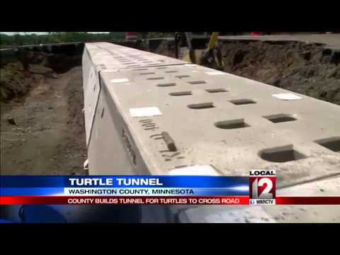 County builds tunnel for turtles to cross road, a Turtle Tunnel