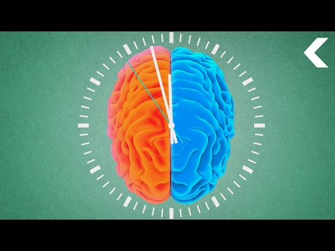 How Bilingual Brains Perceive Time Differently