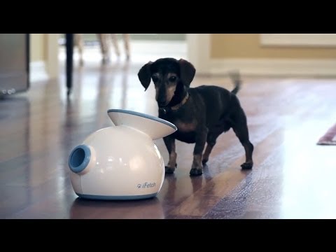 10 Best Inventions For Dog Owners - 89