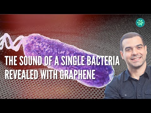 The sound of a single bacteria revealed with graphene