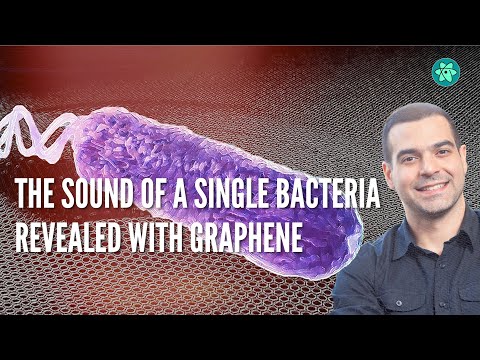 10 Strange and Surreal Sounds Captured by Scientists - 67