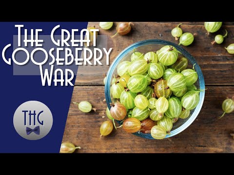 The US War on Currants and Gooseberries