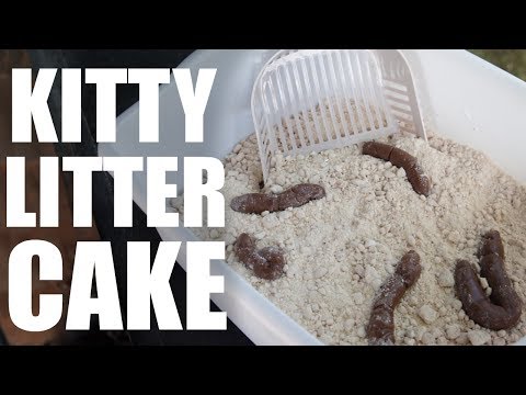 Kitty Litter CAKE | Dollar $tore Recipe