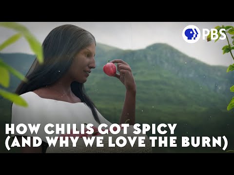 How Chilis Got Spicy (and Why We Love the Burn)