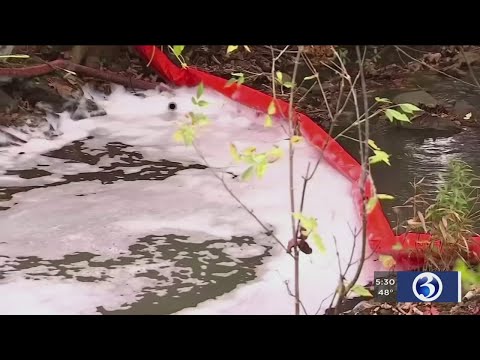 VIDEO: Experts say &#039;forever chemical&#039; is found in everyday items